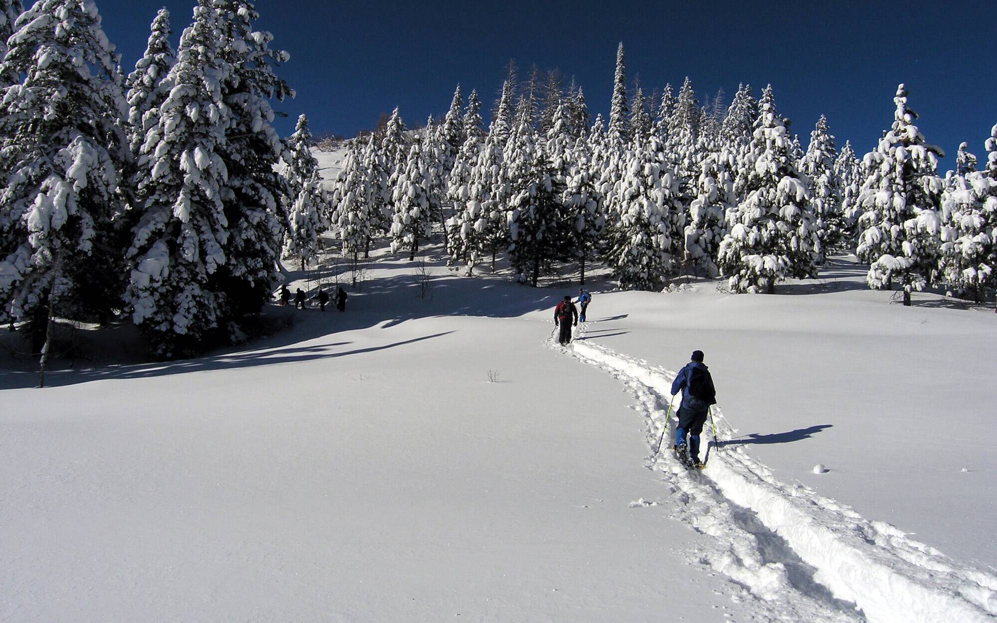 Lookout Pass Nordic Ski Area Nordic Skiing In Northern Idaho