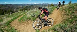 Mountain Biking
