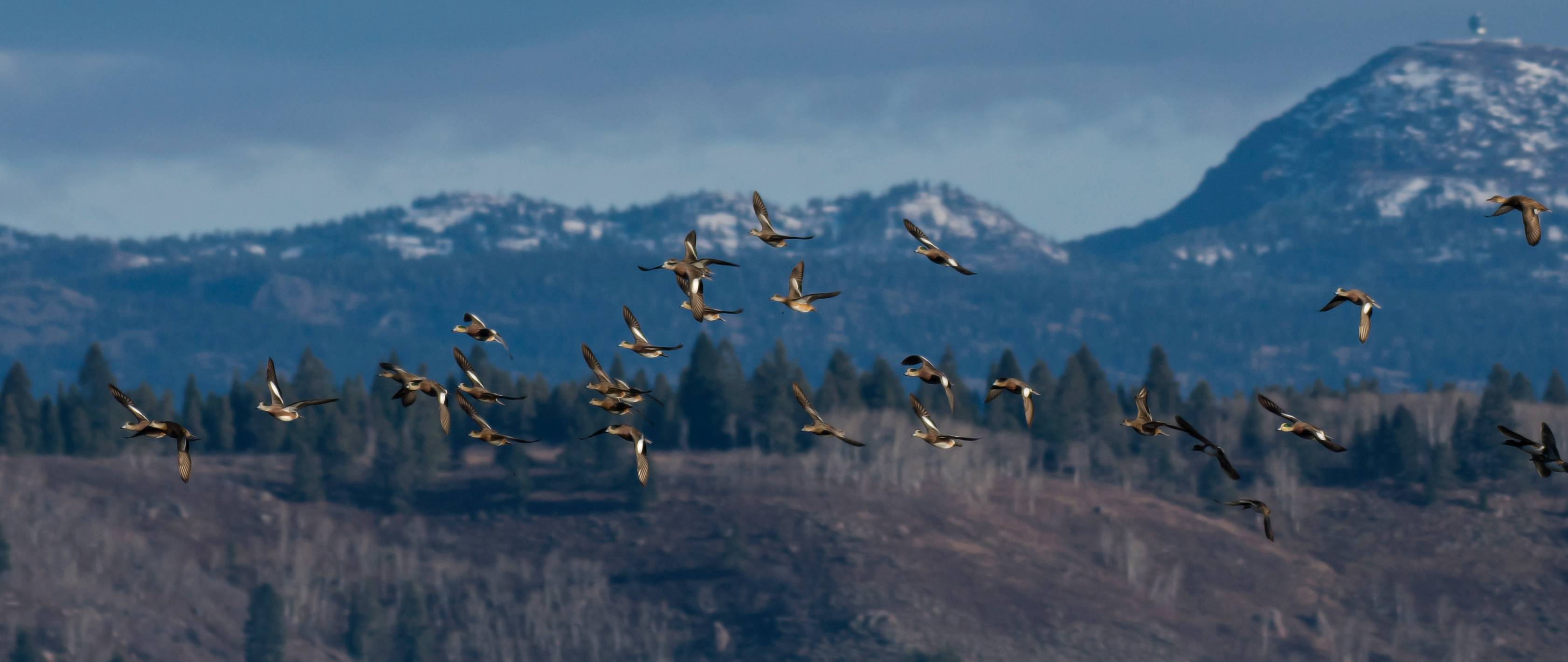 Harriman State Park Visit Idaho