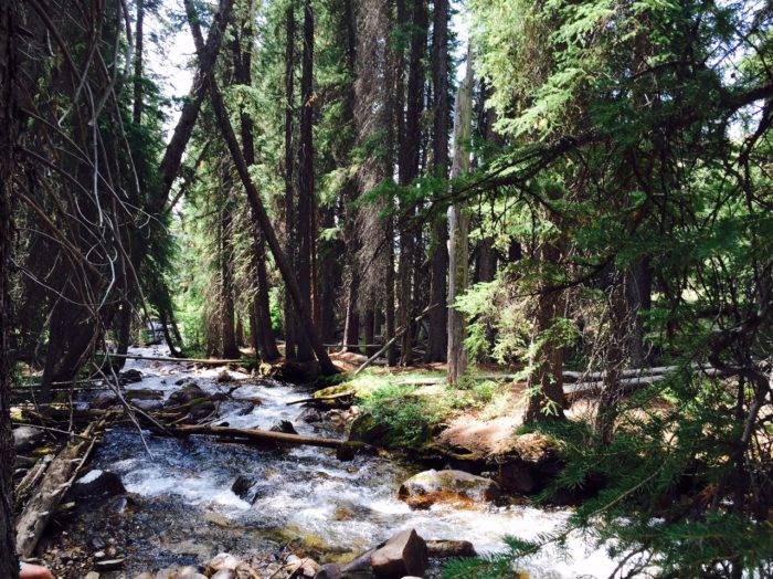 Exploring the trail system near Redfish Lake Lodge.