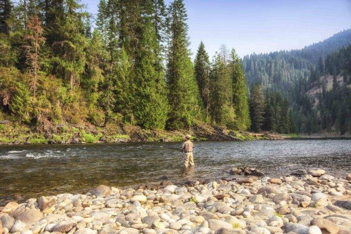 Son standing in the river flyfishing.