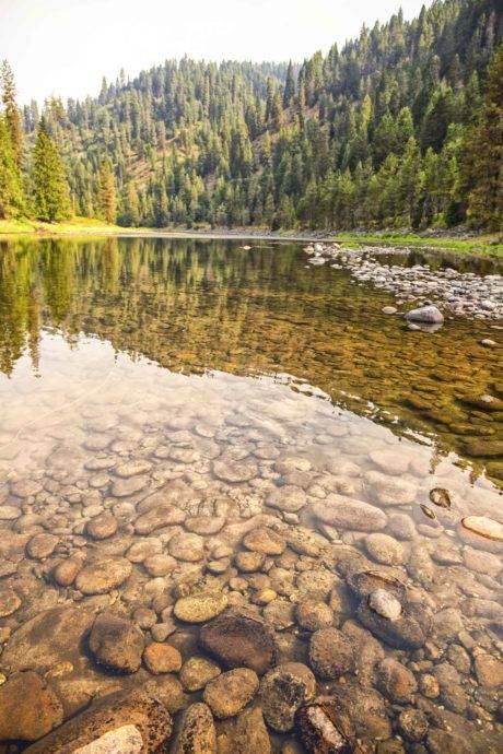 Clear river showing rocks on the bottom.