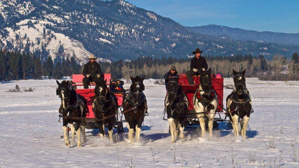 Mountain sleigh ride.