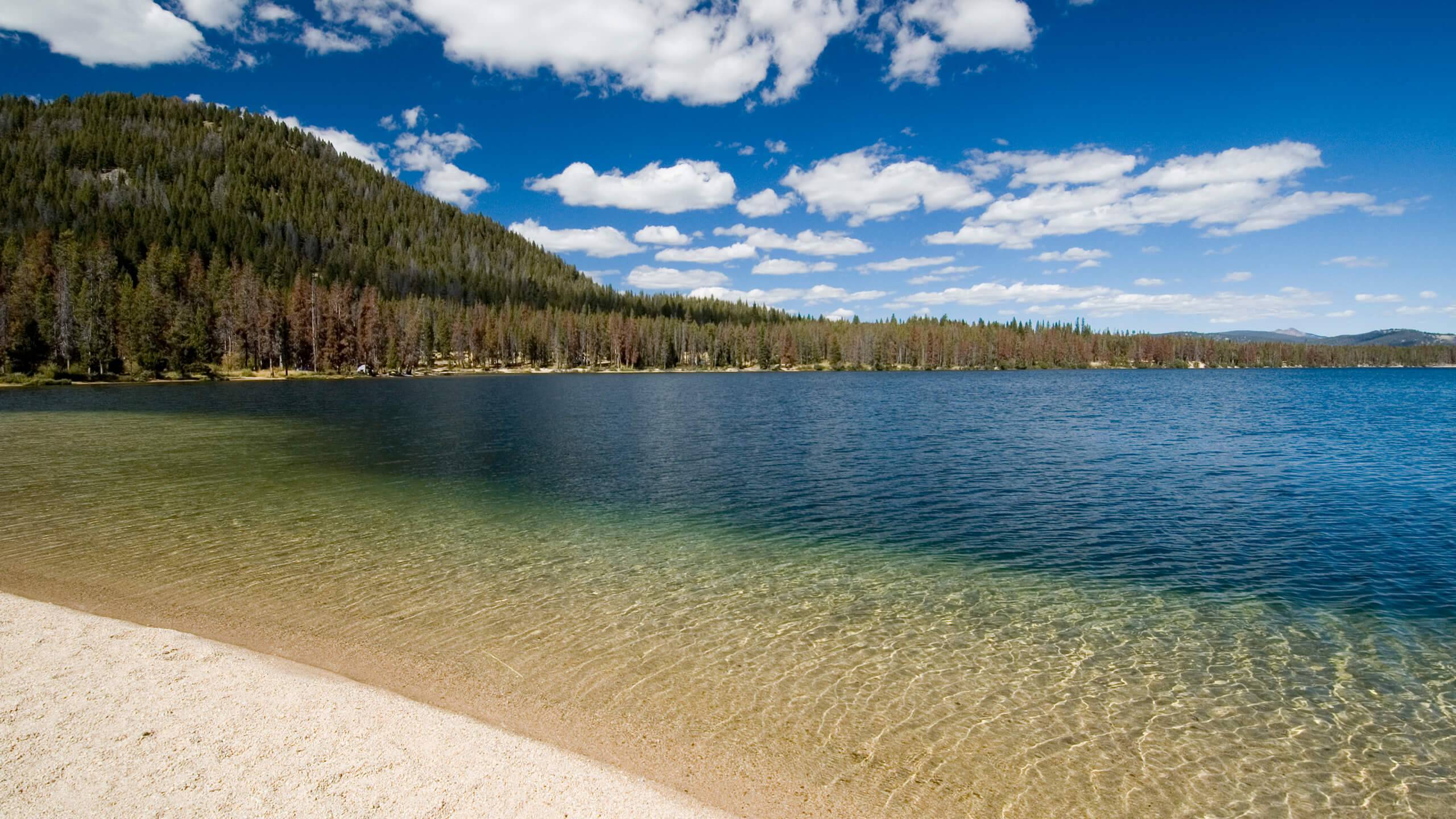 Ponderosa Pine Scenic Byway Visit Idaho
