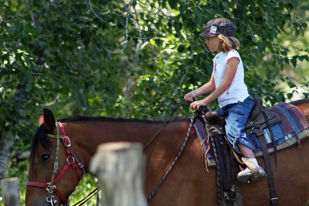 Rider Ranch Visit Idaho