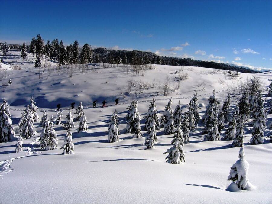 Whoop Um Up_snowshoeing