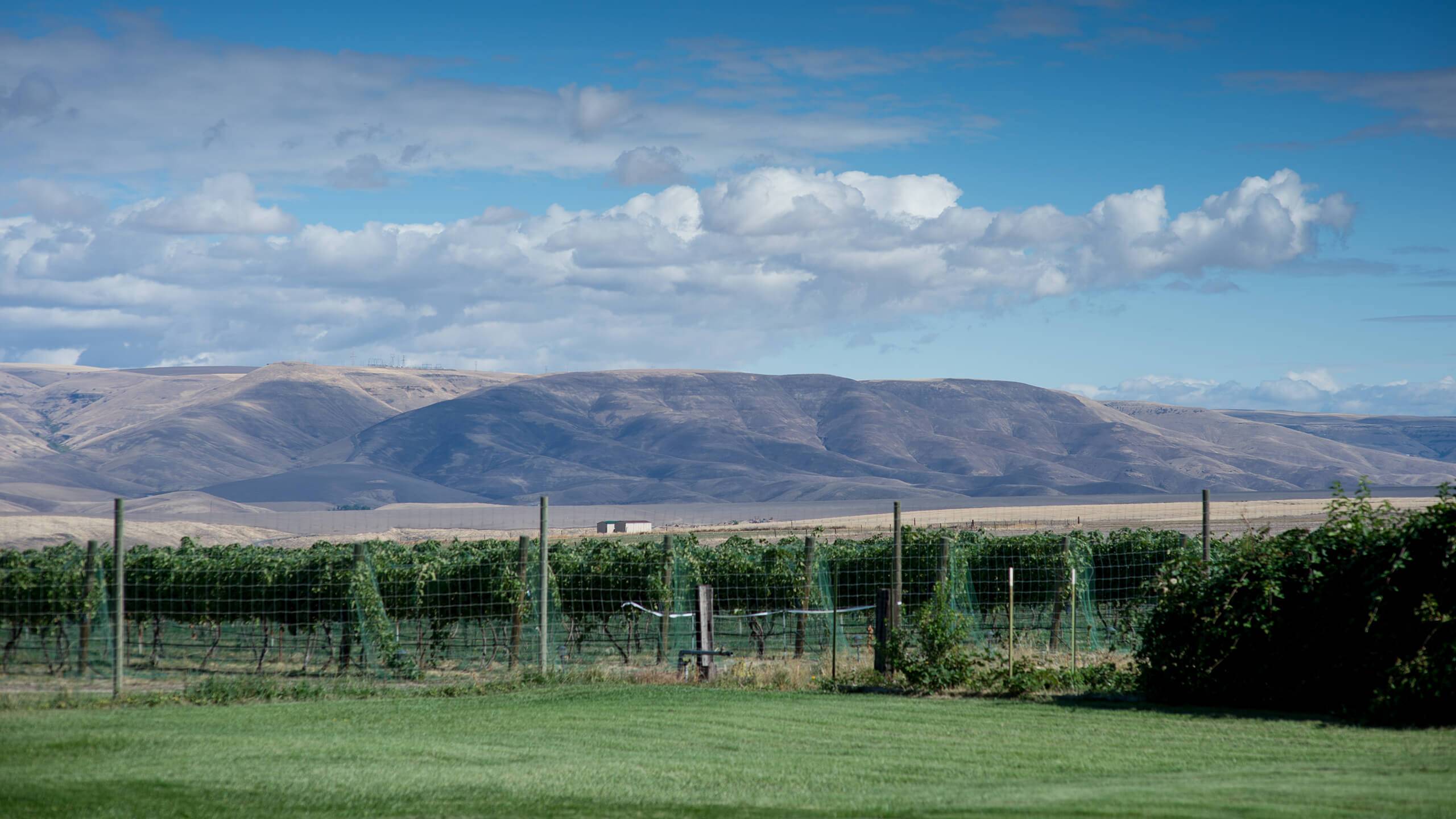 Clearwater Canyon Cellars Visit Idaho