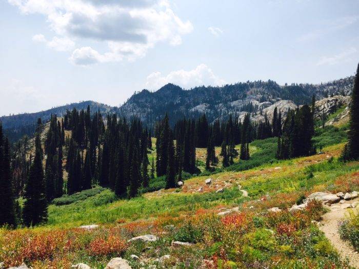 A scenic view of a lake on top of a mountain.