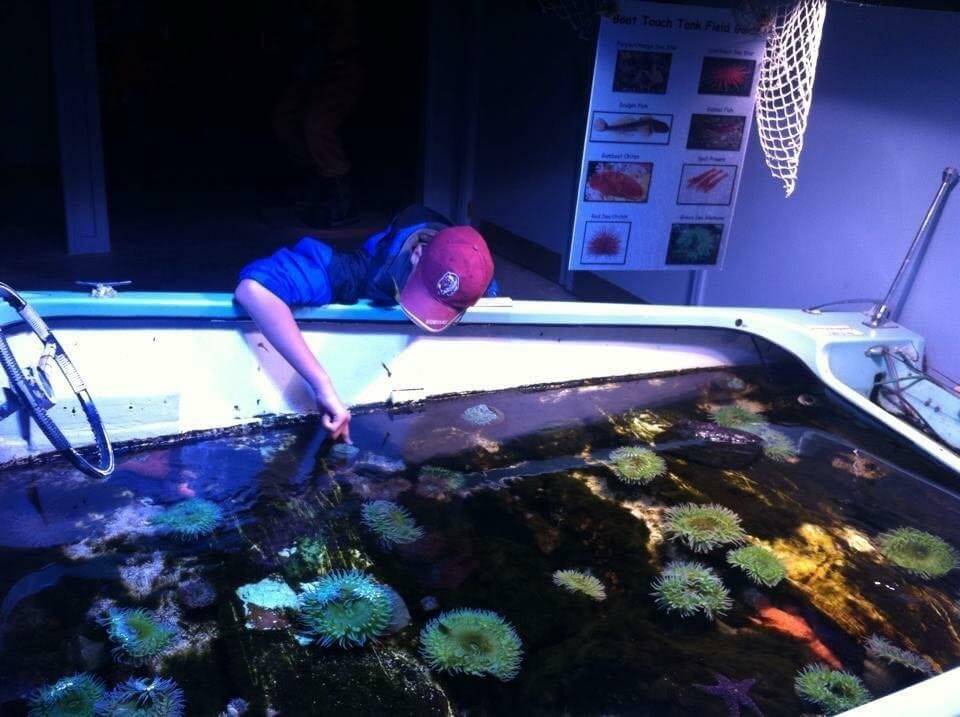 Aquarium of Boise Visit Idaho