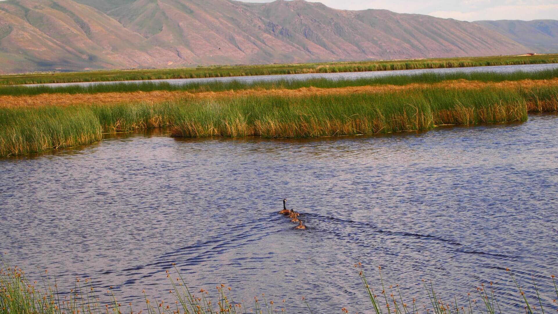 Where To Stay in Montpelier, Idaho Hotels, Lodging & Rentals