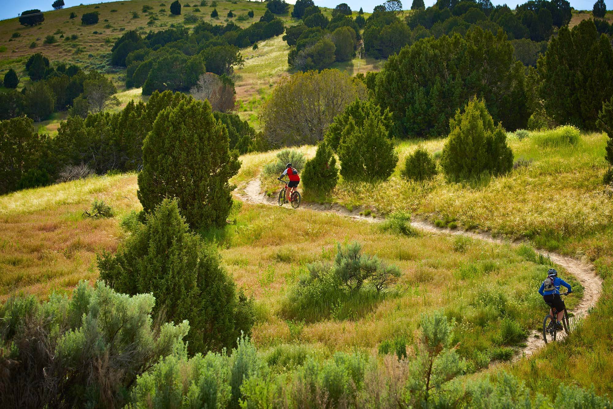 City Creek Management Area Trail System Mountain Biking in Southeast Idaho