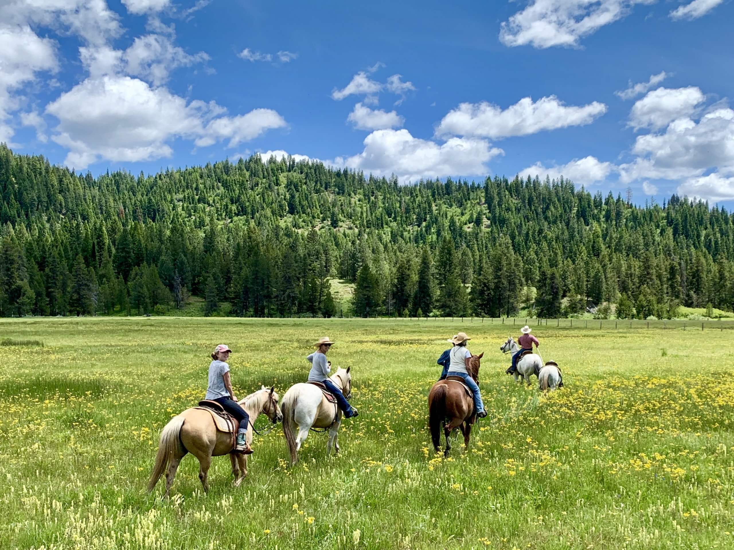 Longhorn Guest Ranch | Visit Idaho