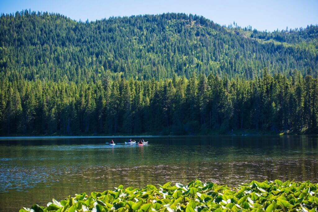 Four people in four kayaks paddling across Round Lake with forested mountains in the background.