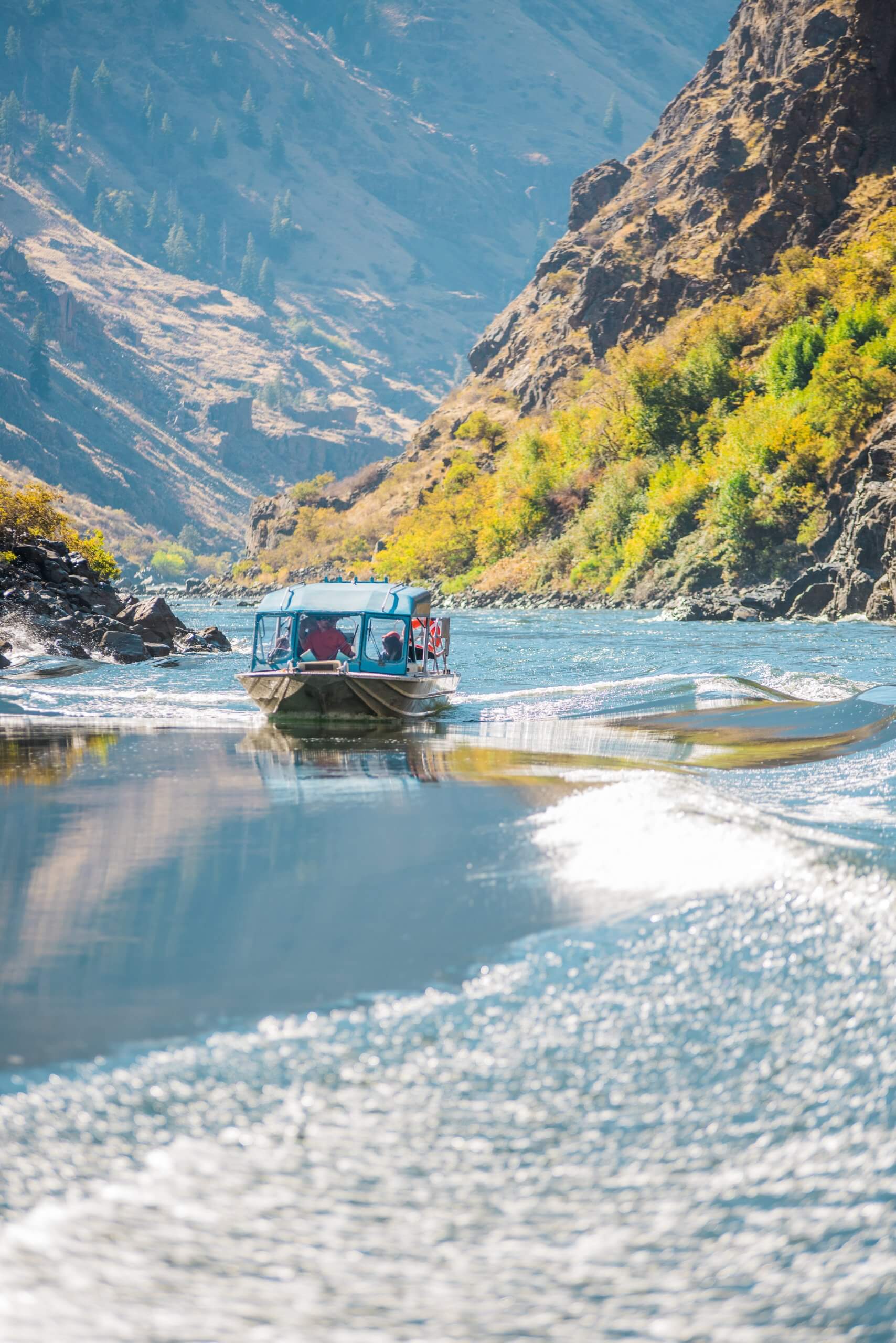 A jetboat cruising down a river.