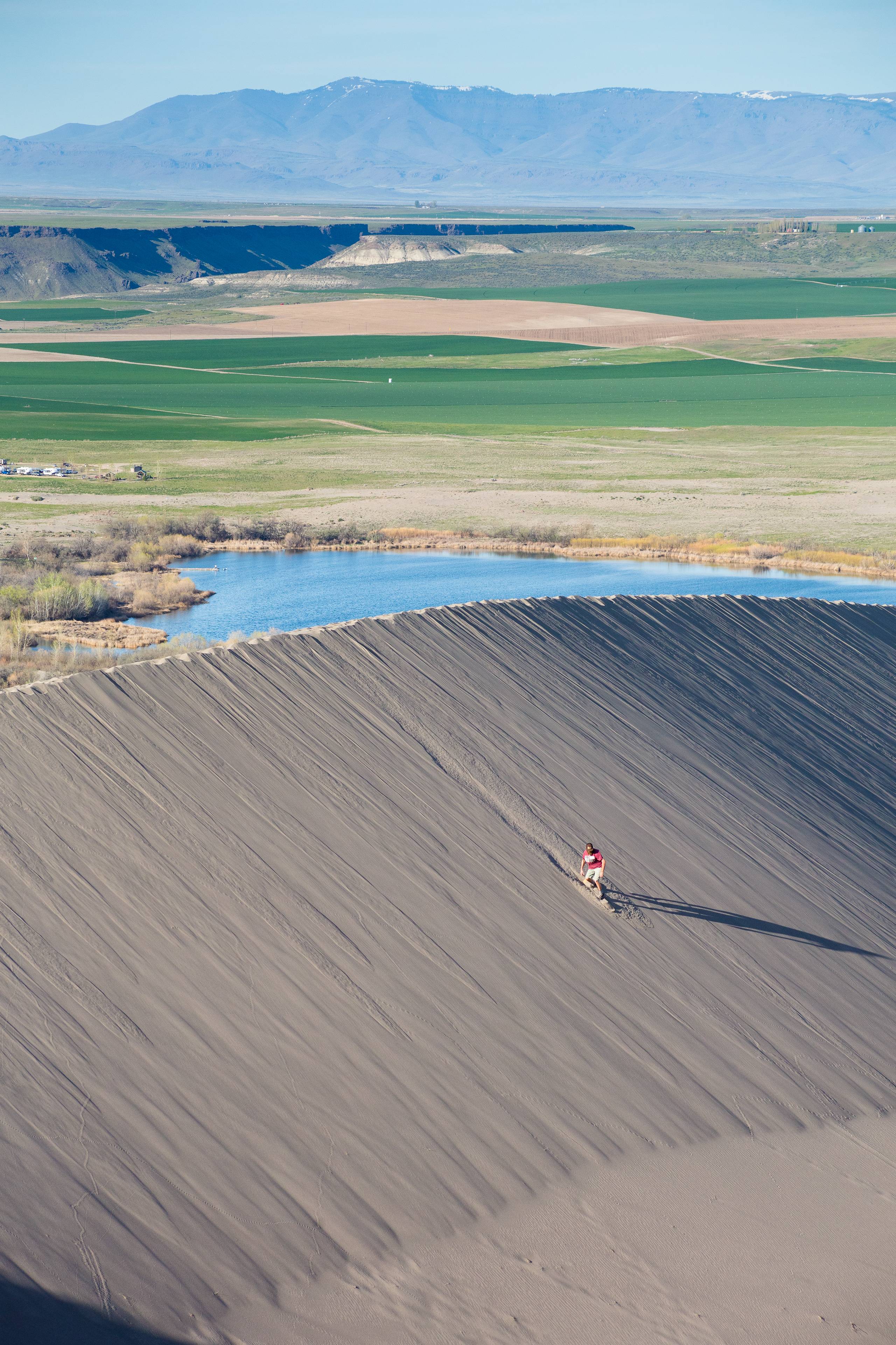 are dogs allowed at bruneau sand dunes