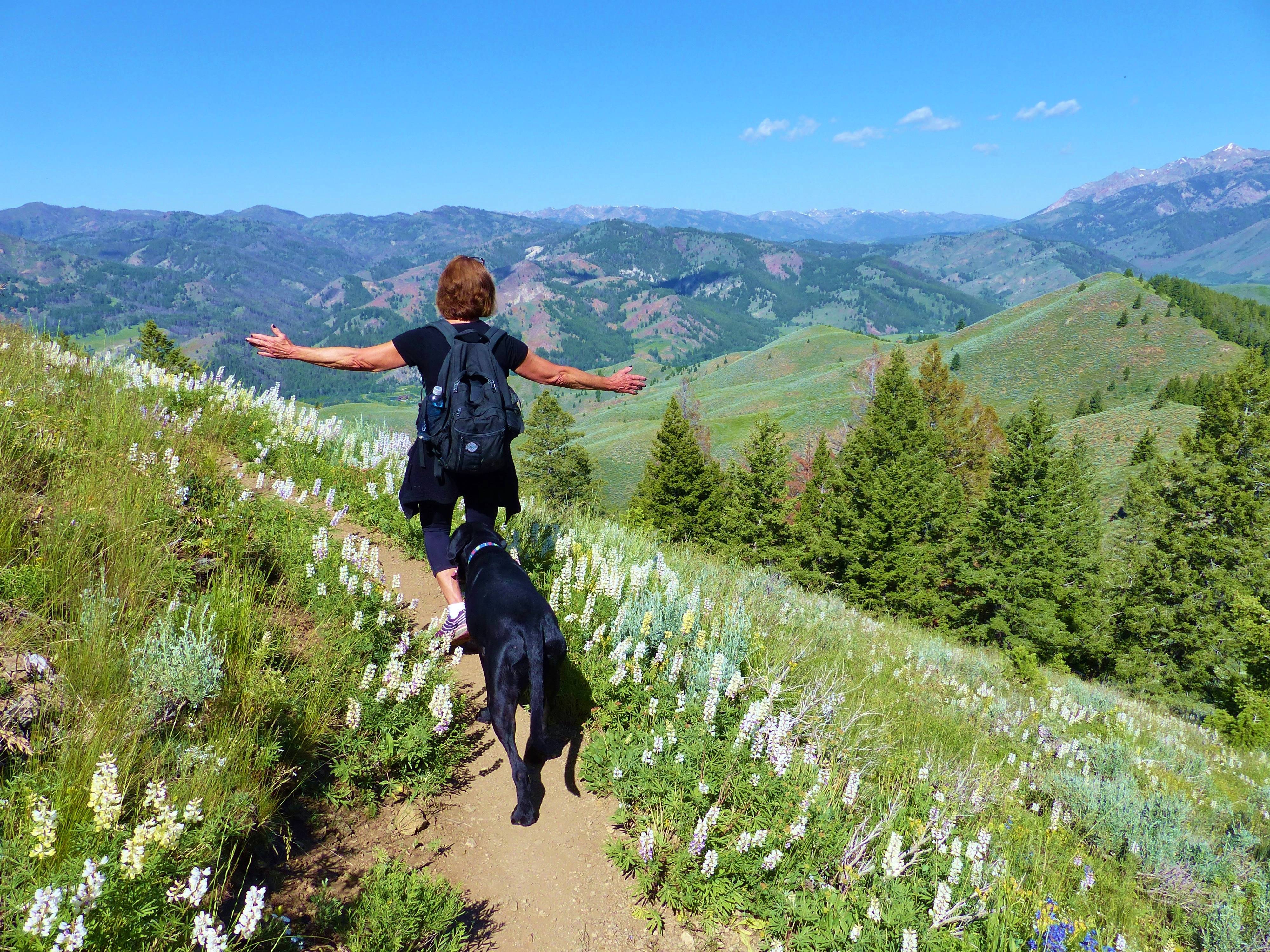 pet hiking