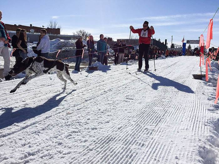 American Dog Derby, Ashton. Photo Credit: Idaho Tourism
