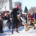 American Dog Derby, Ashton. Photo Credit: Idaho Tourism