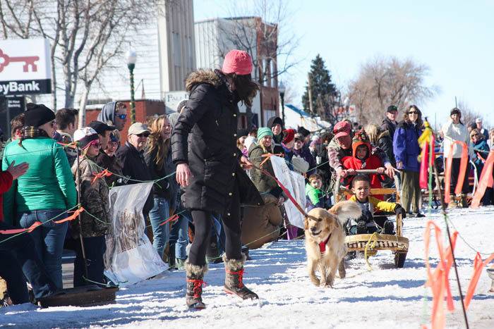 American Dog Derby, Ashton. Photo Credit: Idaho Tourism