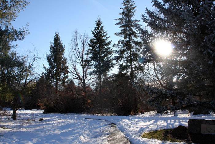 Kathryn Albertson Park. Photo Credit: Boise Parks and Recreation