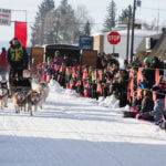 American Dog Derby, Ashton. Photo Credit: Idaho Tourism