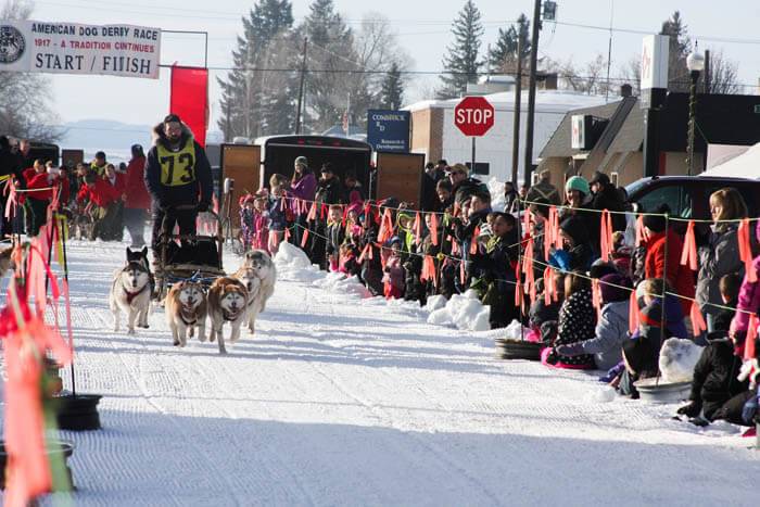 American Dog Derby, Ashton. Photo Credit: Idaho Tourism