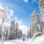 Skiing, Sun Valley. #ForTheWinter Submission: Nikki Reynolds