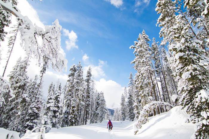 Exploring Central Idaho in the Winter. #ForTheWinter Submission: Ian Sherrow
