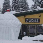 The McCall Winter Carnival. Photo Credit: Idaho Tourism