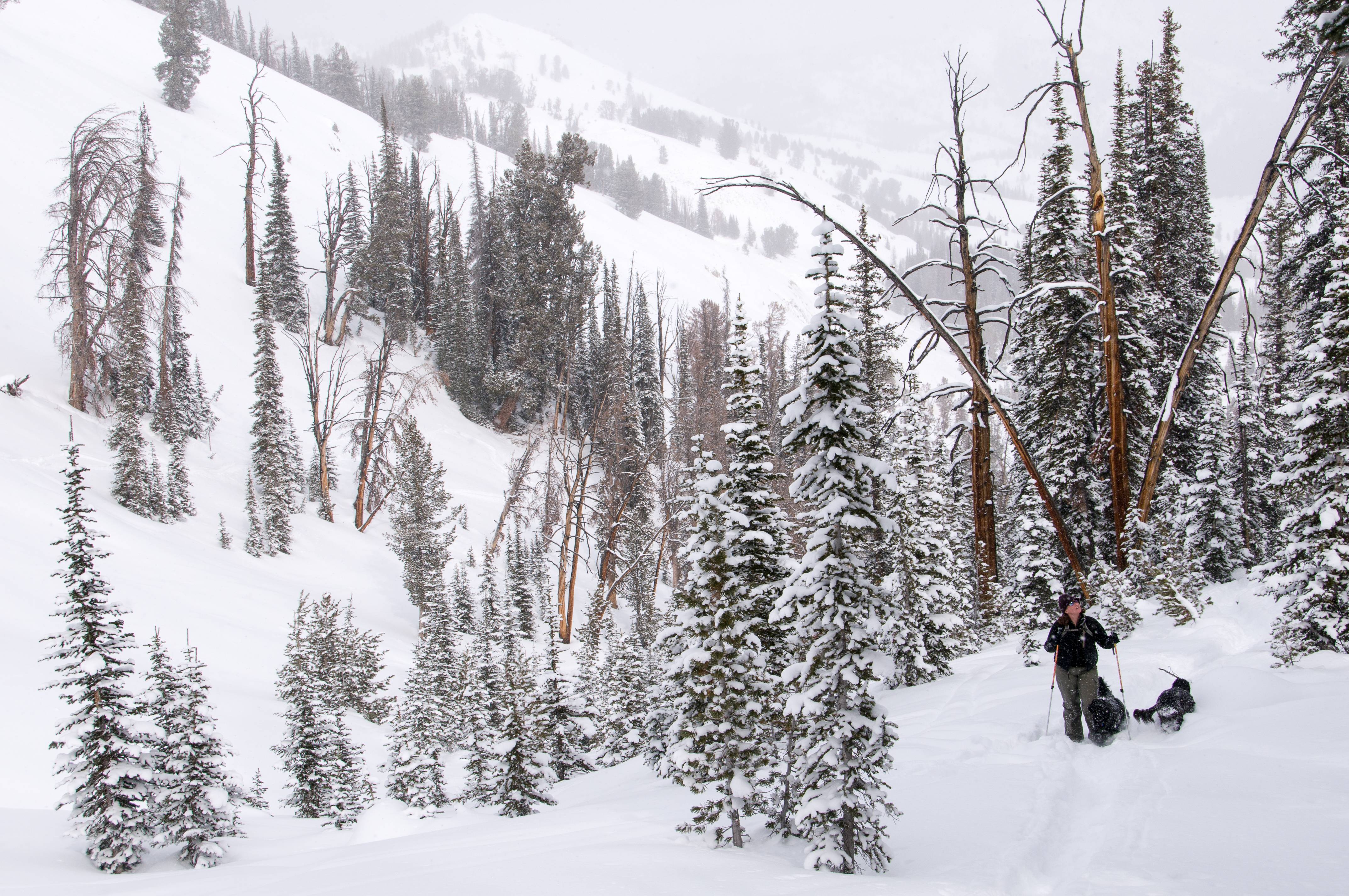 Best Places to Learn How to Snowshoe in Idaho Visit Idaho