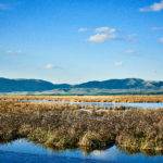 Bear Lake State Park, St. Charles. Photo Credit: Idaho Tourism