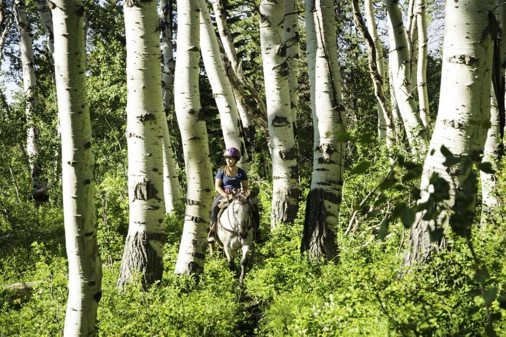 family horseback riding
