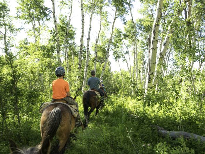 Horseback riding on a trail near Linn Canyon Ranch. Photo Credit: Christina McEvoy.