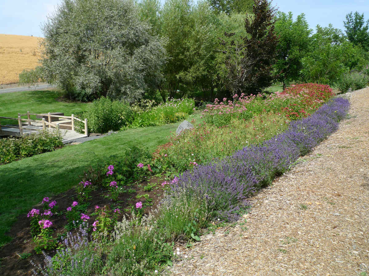University of Idaho Arboretum and Botanical Gardens Visit Idaho