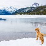 Redfish Lake, Stanley. Photo Credit: Idaho Tourism