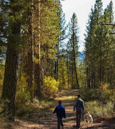 Charcoal Gulch trail offers a great escape in the mountains. Photo Credit: Christina McEvoy.