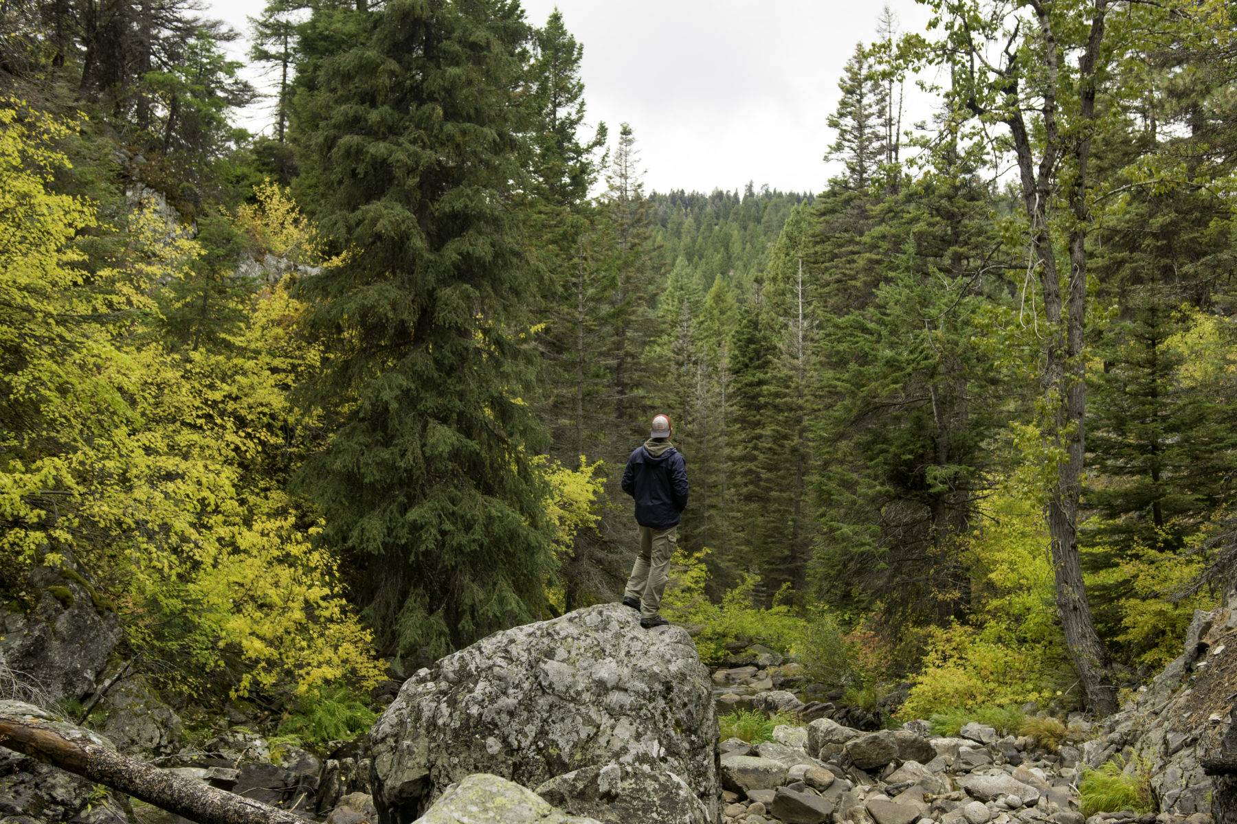 5 Fantastic Fall Hikes Near Boise | Visit Idaho