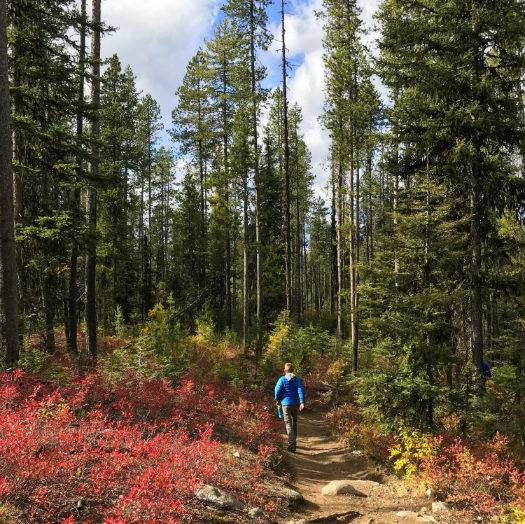 Louie Lake Trail is one hike you will want to do every year. Photo Credit: Christina McEvoy.
