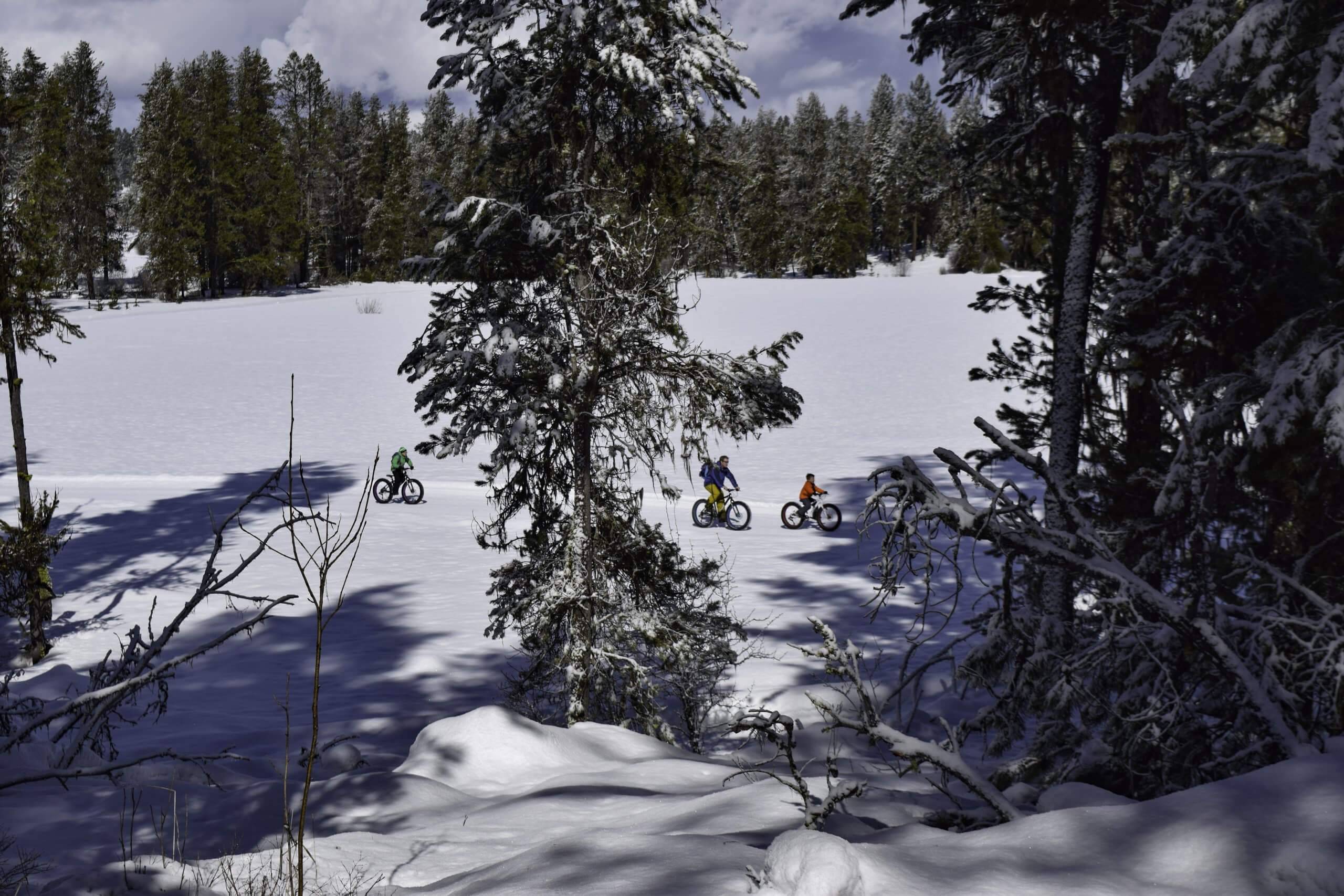 There are also single and downhill tracks for adrenaline junkies! Photo Credit: Christina McEvoy.