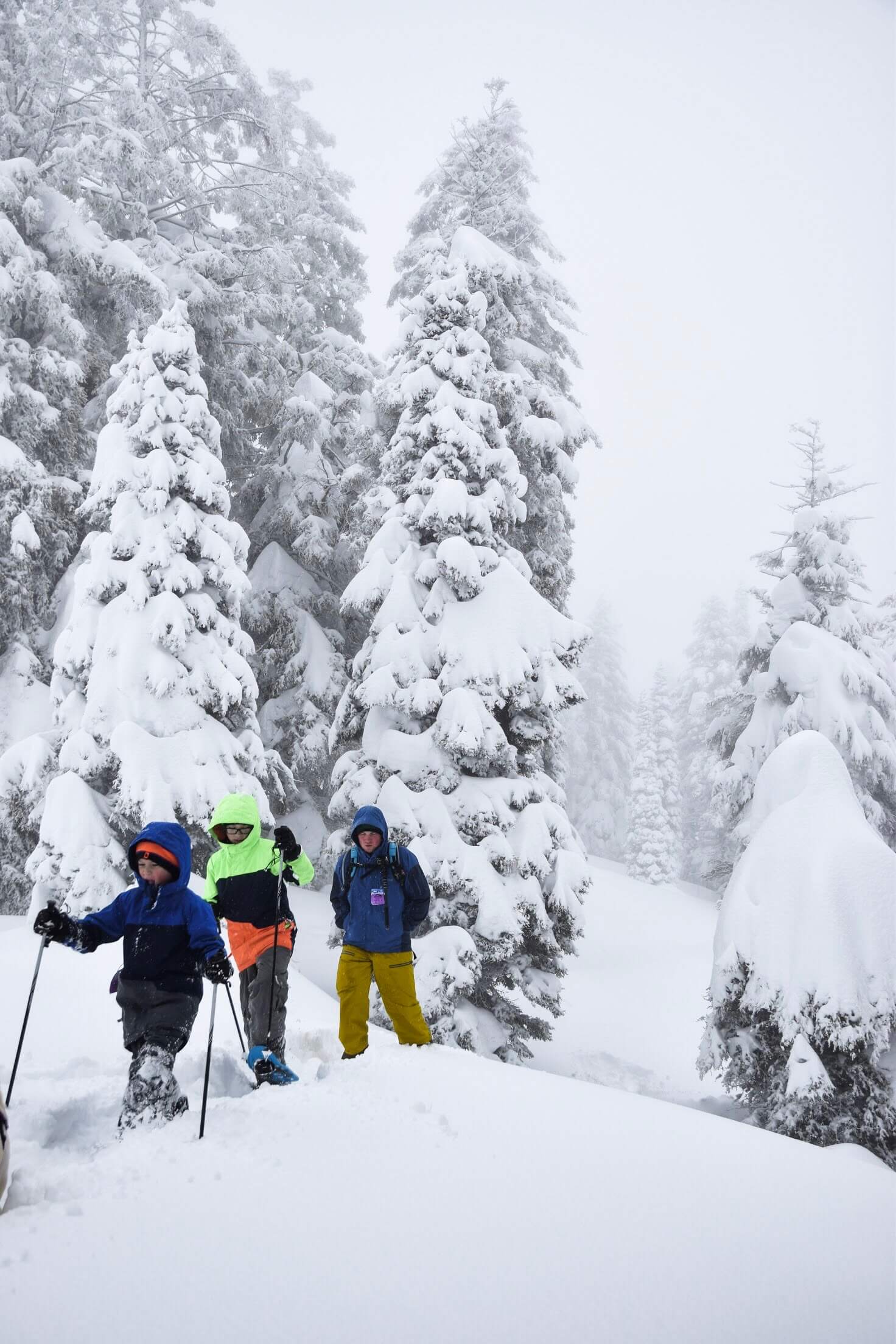 5 Family Friendly Snowshoe Trails Near Boise Visit Idaho