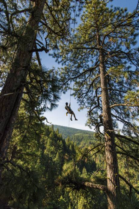 person on zip line surrounded by trees