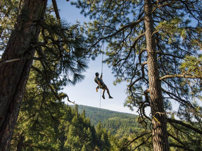 Timberline Adventures Zip Line Tours, Coeur d’Alene. Photo Credit: Idaho Tourism.