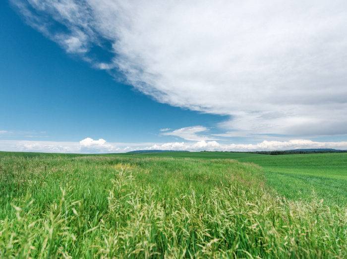 Teton Scenic Byway, Near Victor. Photo Credit: Idaho Tourism.