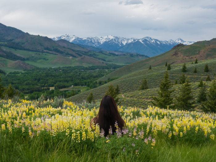 6 Must See Places to View Idaho’s Spring Wildflowers  Visit Idaho