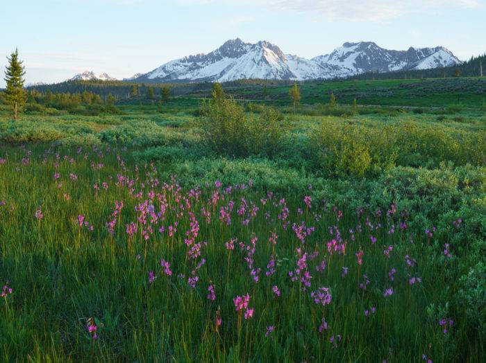 Idaho's Springy Point: Where the Mountains Meet the Lake