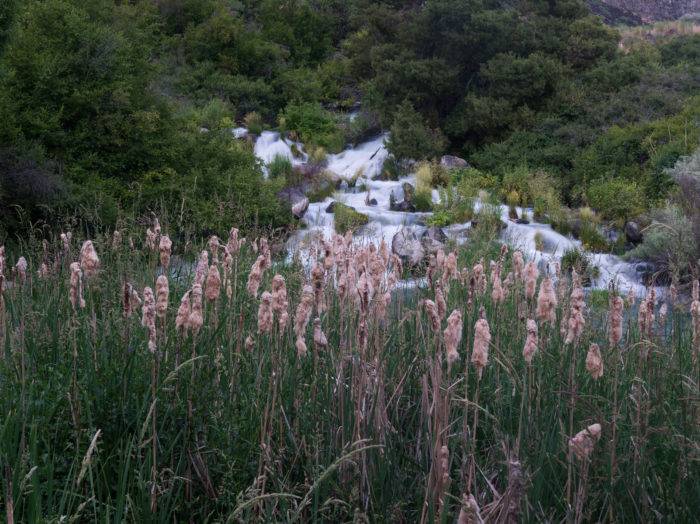 No shortage of waterfalls here. Photo Credit: Michael Bonocore.