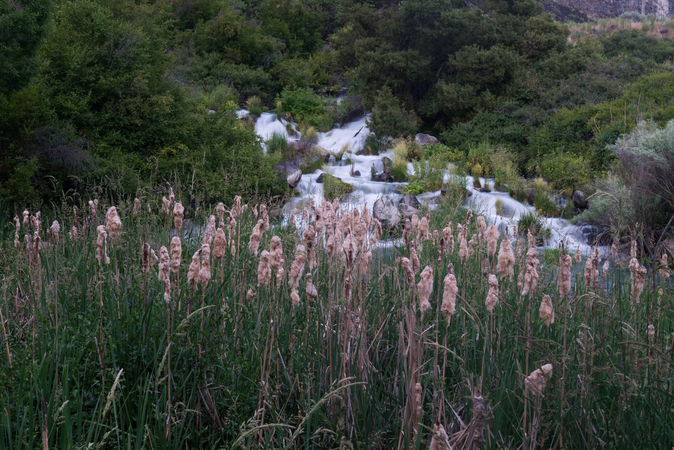 waterfall