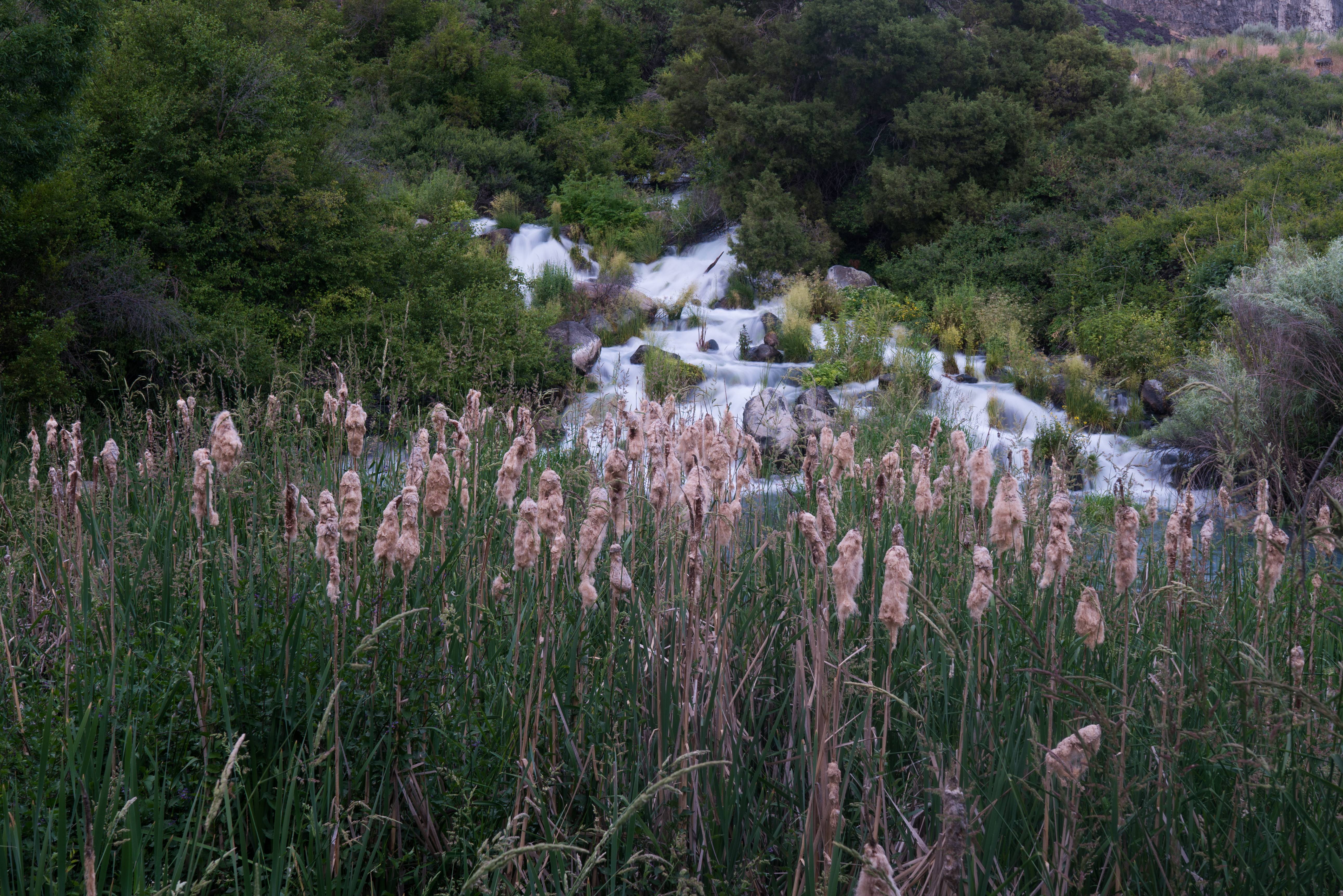 No shortage of waterfalls here. Photo Credit: Michael Bonocore.