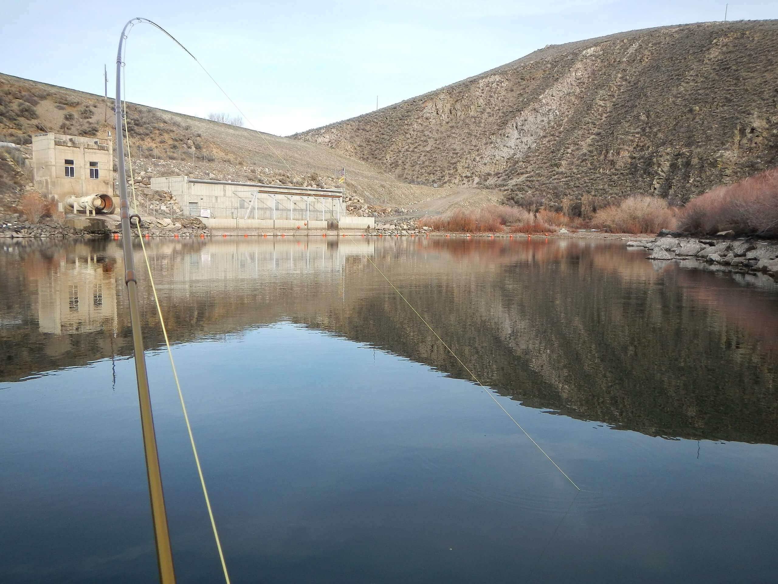 Monster fish can be found in Magic Reservoir. Photo Credit: Mike McKenna.