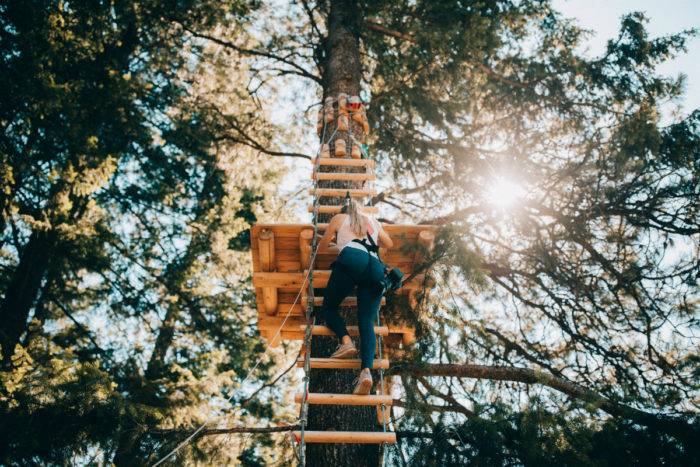 woman climbing in tree